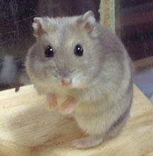 2007012501.jpg