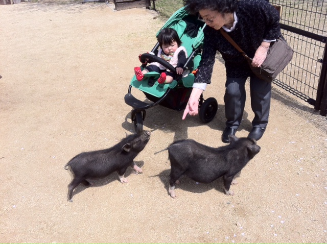 写真 1.JPG